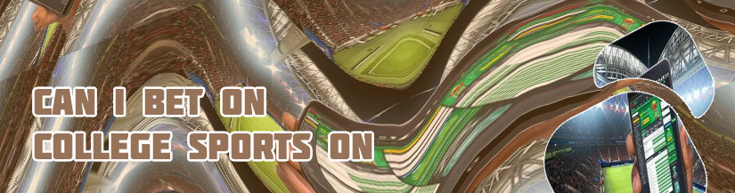 Best app for sports betting stats