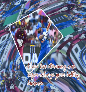 Cricket live odds